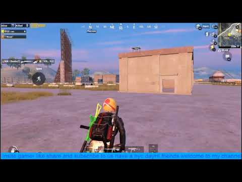 pom das Live Stream