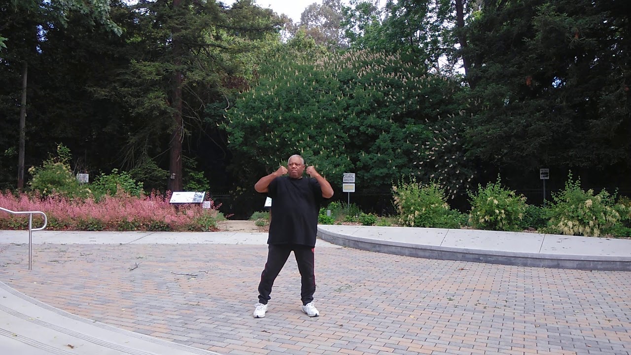 4 Elements Martial Arts Shaolin Kungfu YouTube