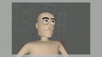 Blink Animation Test