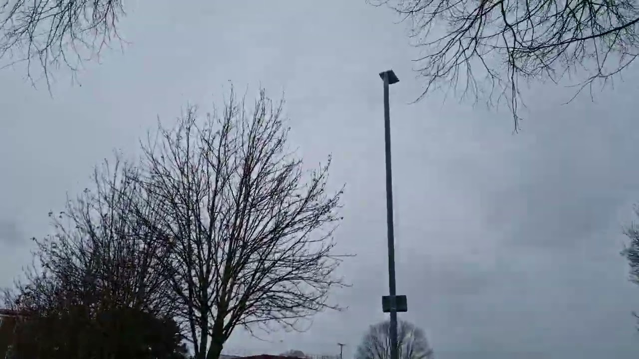 Morning wellbeing walk | quiet thoughts