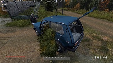 Dayz getting trader trolled