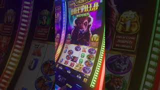 Buffalo Bucks Bonus play! What's your favorite Buffalo Bonus??