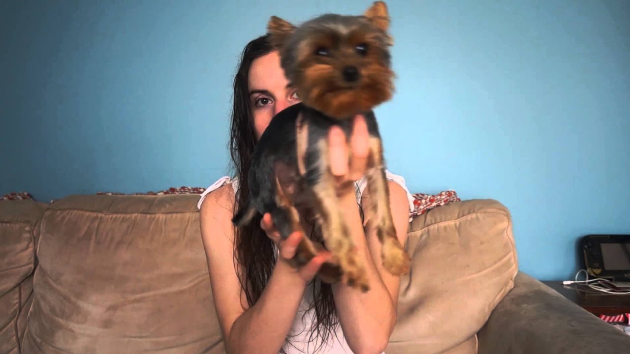 Stand-Up Diaries Michelle Christine Entry 142