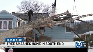 Large tree falls on occupied Hartford home, damages cars
