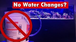 No Water Change Reef Tank - How Maintain a Reef Tank without water changes on your aquarium