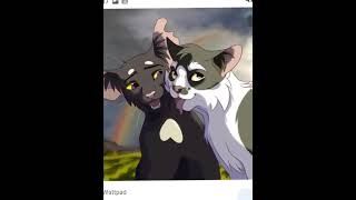 ravenpaw and barley