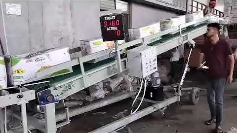  Truck Loading unloading Conveyor | with counter system  by Neo conveyor 