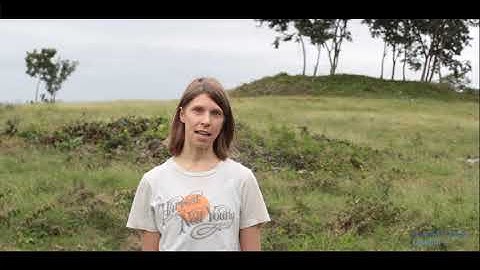 London Imperial College science project Plant-for-the-Planet reforestation on the Yucatán Peninsula