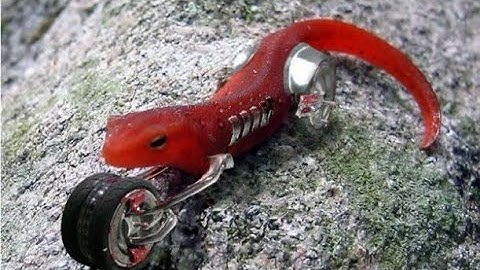 20 amazing Robot Animals That Will Blow Your Mind. #technology #emergingtechnologies #futuretakgk