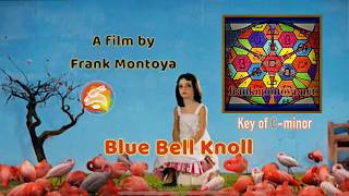 The Passion of C Minor: Blue Bell Knoll. A film from The Acoustic Rabbit Hole