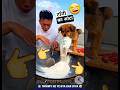 टॉमी और भैया का किचन 😁 Yum yum recipe 😋 Funny dogs videos #dog #tommy #cooking