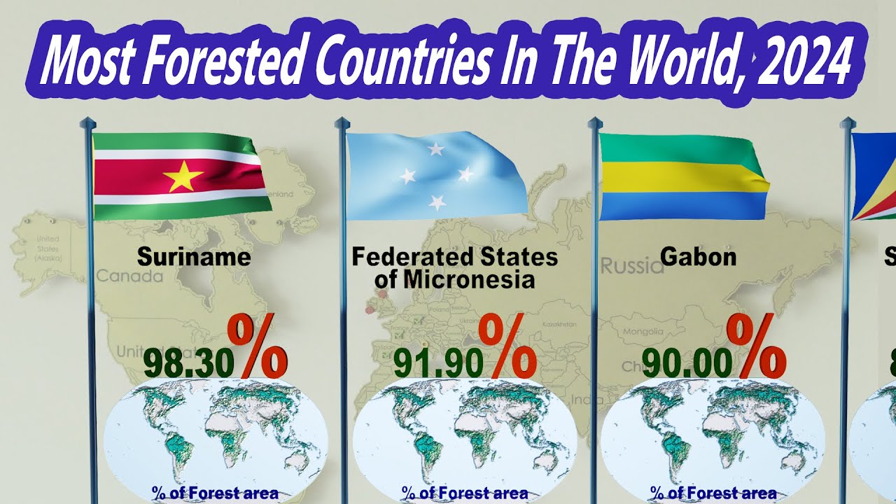 Most Forest Cover by Country 2024 | Top 100 Countries Comparison