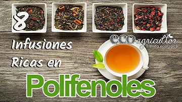 ¿Para qué se utiliza el dimetilpolisiloxano en los alimentos?