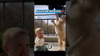 Phillies Land All-Star Closer Jhoan Duran Ahead Of Mlb Trade Deadline