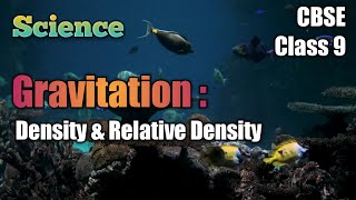 CBSE | Class 9 | Science | Gravitation | Density & Relative Density