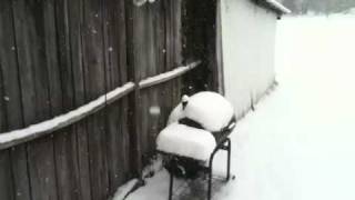 Snow In Hopkinsville Kentucky