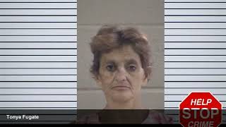 Whitfield County Georgia - August 10 2026 Booking Records