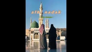 albi nadak speed up - Kayla Zamzam