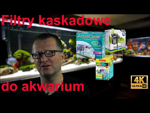 Wideo: Góry Kaskadowe: gdzie są, opis