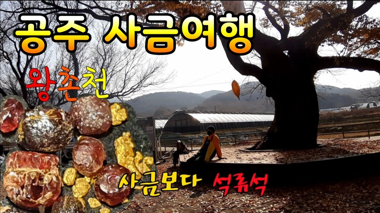 사금이 모이는 구간이 따로있다.공주 왕촌천 사금여행 사금채취/사금/사금채취/금 채취/석류석/가넷