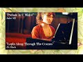 Ayla Swihart - Prelude In C Major and Lopin Along Through the Cosmos Cover