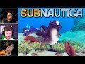 Gamers Reactions to the Cuddle Fish (Cute Fish) | Subnautica