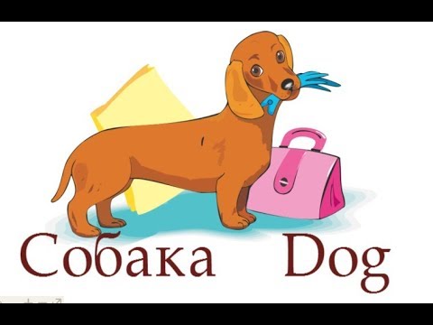 Собака, як намалювати собаку, як намалювати собаку крок за кроком, #draw, #dog, малюємо собаку - YouTube