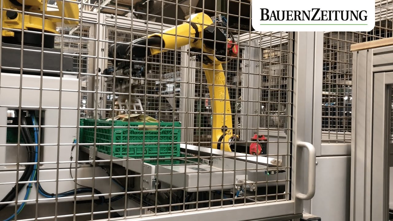 Neuer Roboter packt Kartoffeln ab bei Steffen-Ris