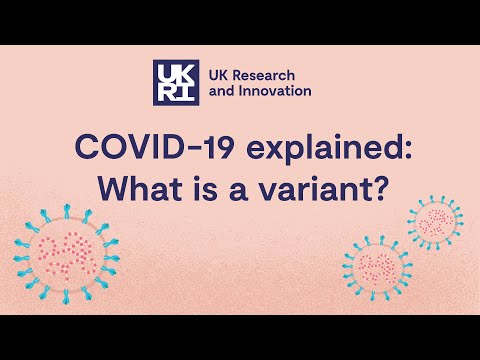 What is a virus variant? Covid-19 explained