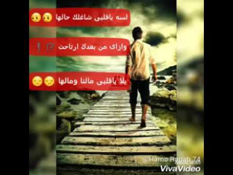 لسه ياقلبي شاغلك حالها