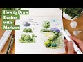 How to draw a bushshrub using pen and marker