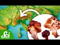 Understanding ALS and Environmental Factors