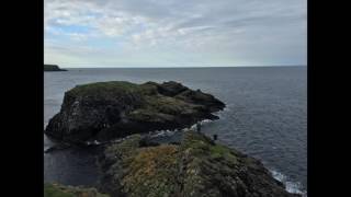 N.u.in Ireland Ucd- Andrew Frank