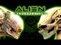NEWBORN Lore Accurate Build From Alien: Resurrection (1997) | Dead by Daylight