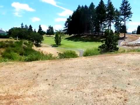 1700 Scardi Blvd., Sutherlin, OR home video tour