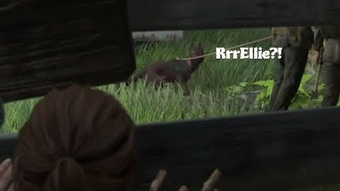 Dog Friendly Run - part 1 | Hillcrest (No kills) | The Last of Us II