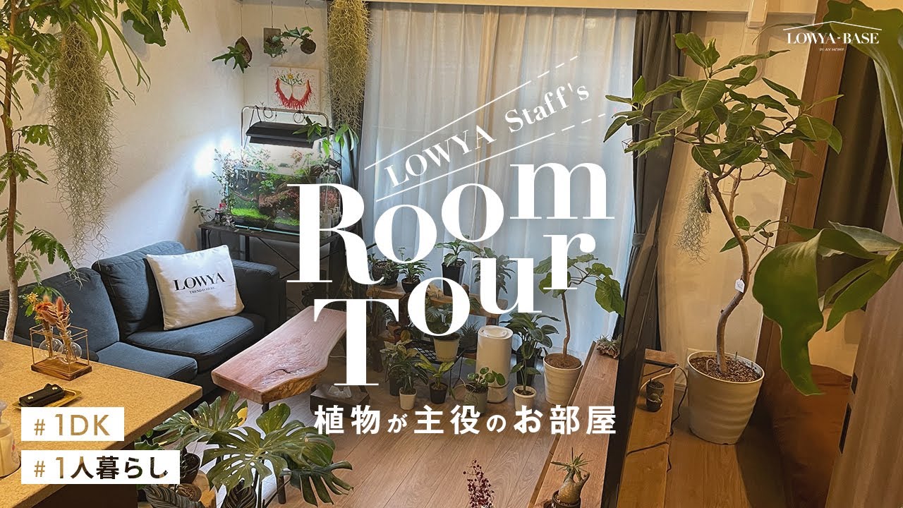 ルームツアー】沢山の観葉植物に囲まれた癒しの溢れるお部屋 
