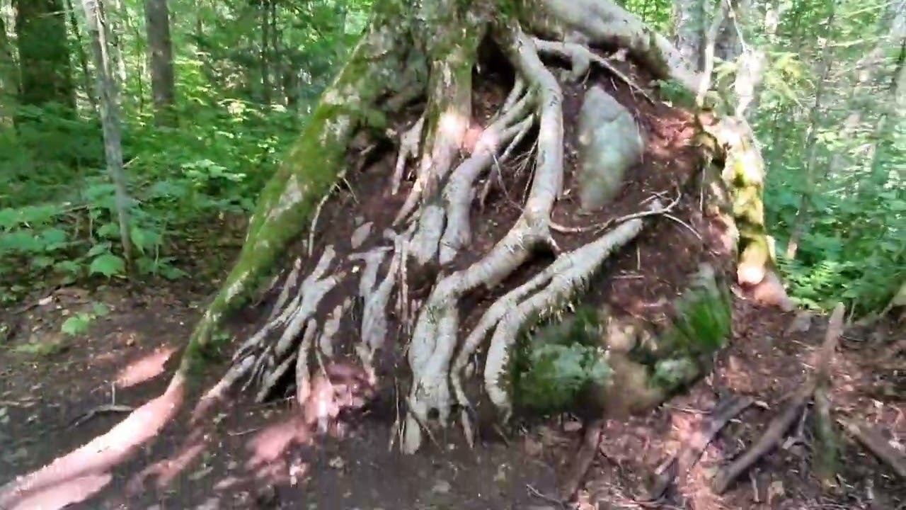 Vacation to valley of Jacques cartier.!!1!