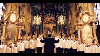 Vienna Boys Choir-Only Time