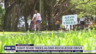 Fight over trees along Rockledge Drive screenshot 4