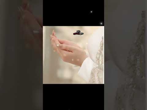 Allah Ki Muhabat Viralvideo Viralvideo 8millionviews Viwes10milionplace Unfrezzmyaccount 