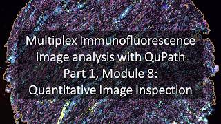 Multiplex Immunofluorescence Image Analysis with QuPath | Part 1 Module 8: Quantitative Inspection