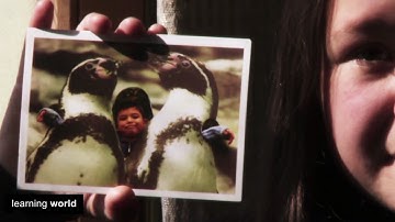 Chile: Picture-Postcard Migrant Integration (Learning World S4E11, 1/3)