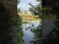 Tasty ducks swimming away
