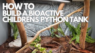 How To Build a Bioactive Children's Python Snake Enclosure / Tank Wealth