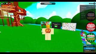 robloxapp 20250322 1518205