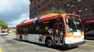 Nice Bus Hicksville Bound Orion Vii Ng Cng 1701 N20H At Great Neck Plz S