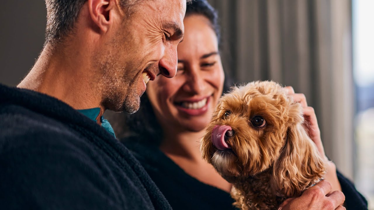 Viaduct Harbour QT Hotel