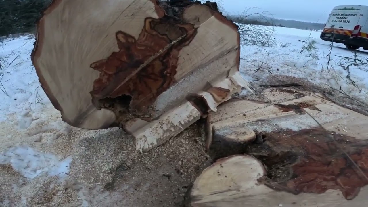 Lahoja pask*ja nurin