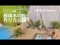 まるで本物！クラフト盆栽の作り方に注目！　ARTificial Bonsai ⭐︎Pine Tree "Moyogi"